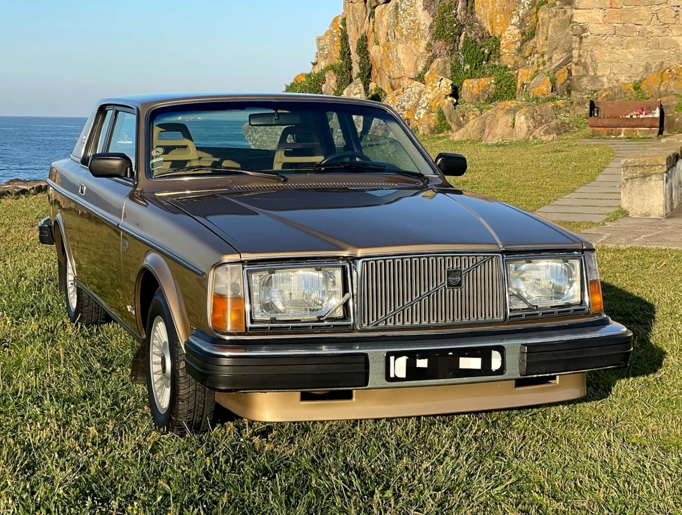 Image of Volvo 262